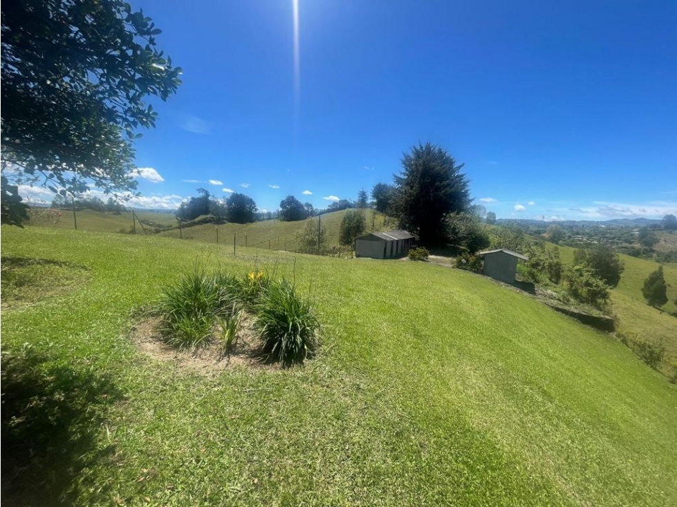 Lote en Venta en Rionegro Antioquia Sector Ojo de Agua