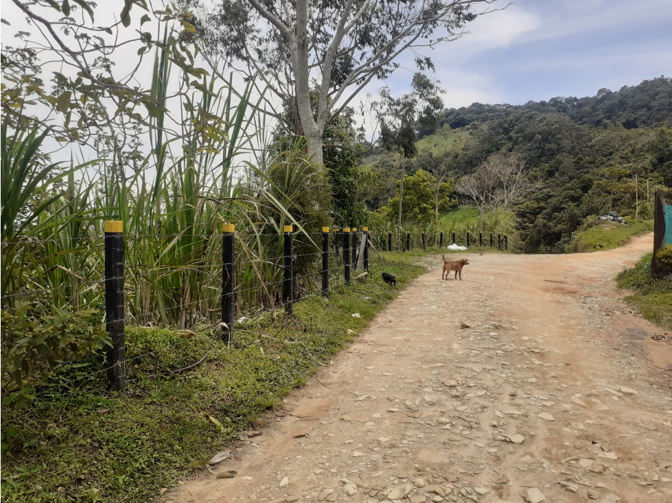 VENTA FINCA TIPO GRANJA 3.5 HECTAREAS SAN ROQUE ANTIOQUIA