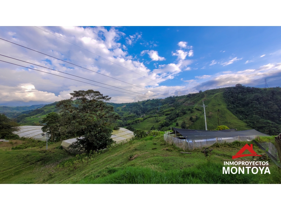 Finca + empresa de cannabis en el km 9 vía a La Florida, Pereira