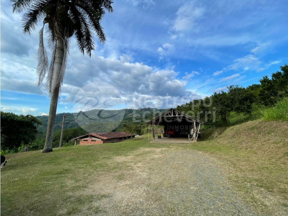 Vendo finca Lisboa, Neira, Caldas