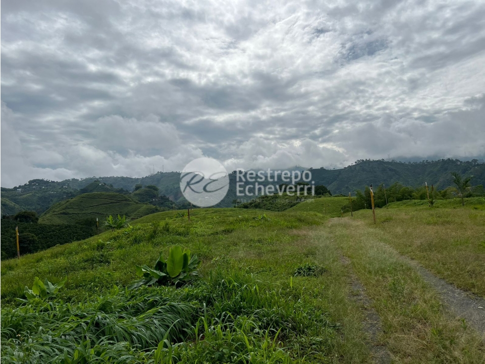 Vendo lote en conjunto, La Trinidad, Manizales