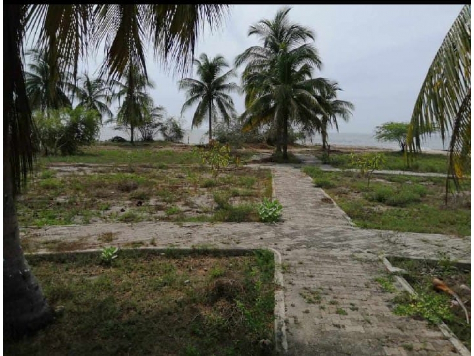 VIVE EL LUJO COSTERO: LOTE FRENTE AL MAR, EN LA CIÉNAGA DE SANTA MARTA