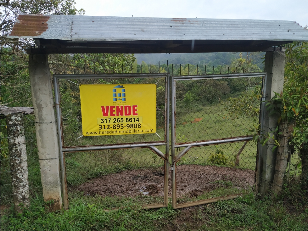 Finca Venta Tunia Piendamó Cauca Colombia