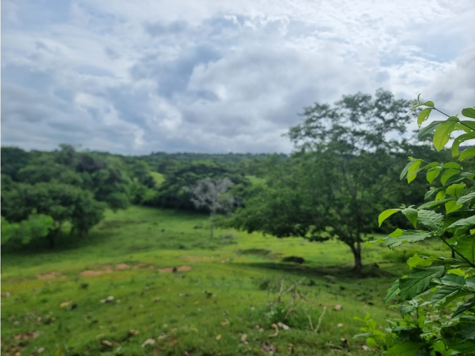 VENTA DE LOTE EN TURBACO - BOLIVAR -  COLOMBIA