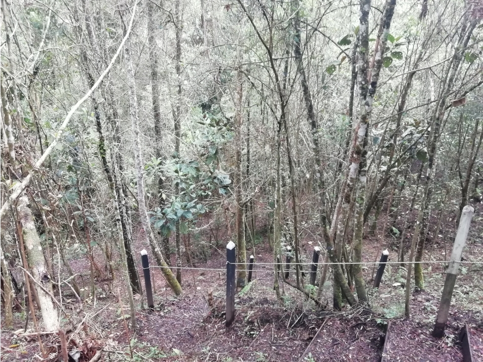 VENDO LOTE EN BARRO BLANCO, PUEBLITO SANTA ELENA