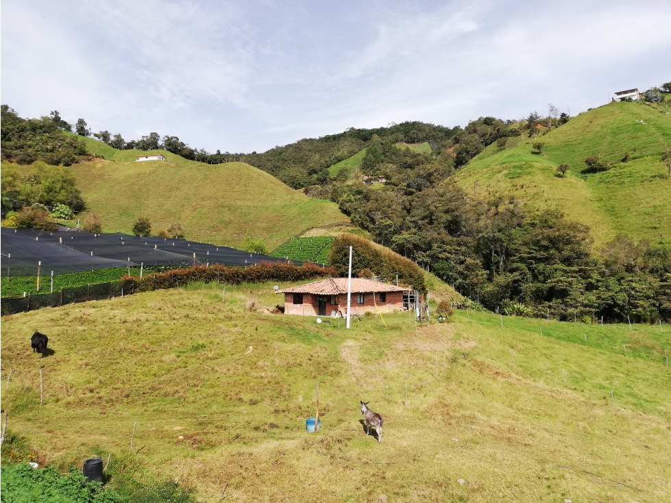 VENTA DE FINCA MULTIPROPÓSITO, EN LA UNIÓN, ANTIOQUIA