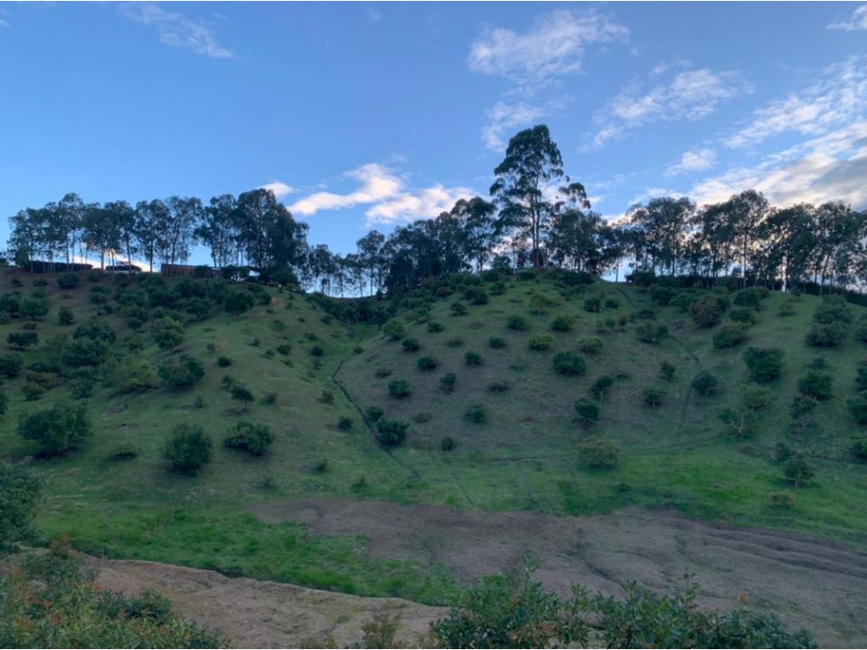 Lote en Guarne Antioquia