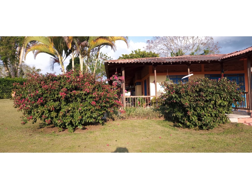 SE RENTA CHALET CAMPESTRE SECTOR BARAYA MONTENEGRO QUINDIO