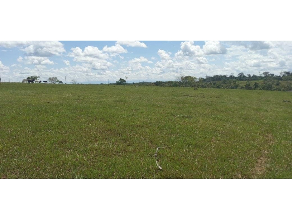 Se vende Finca en San Vicente del Caguán - Caquetá