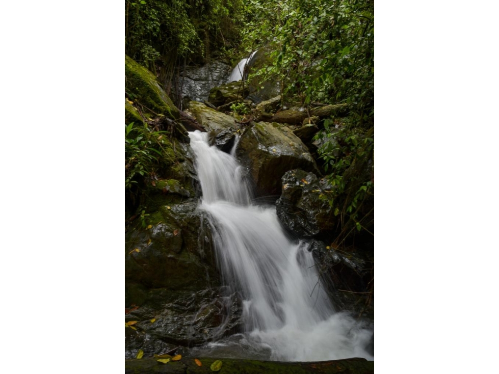 Se vende Finca La Granja - Génova Quindío