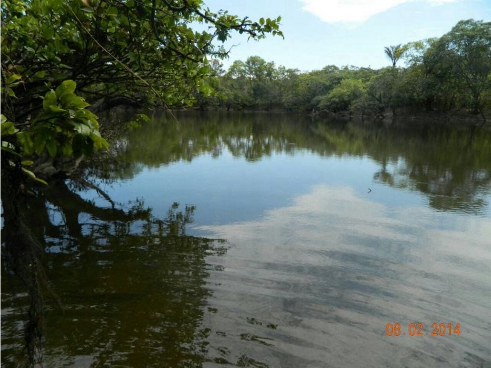 Se vende Finca en Vichada