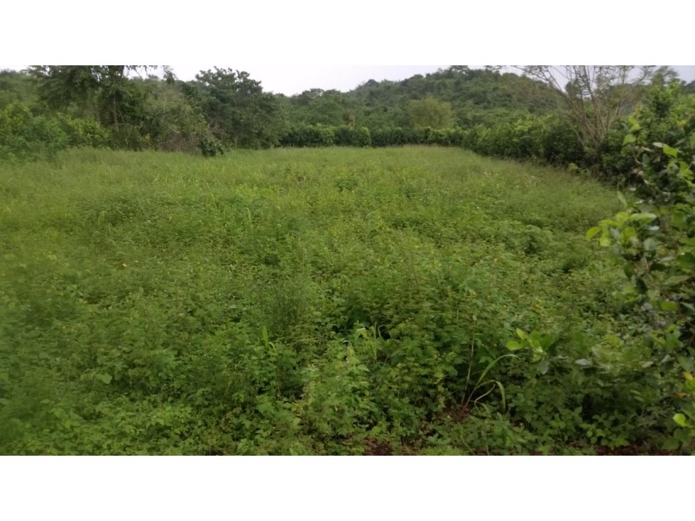 Lote campestre en la vía Turbaco Arjona, Bolívar