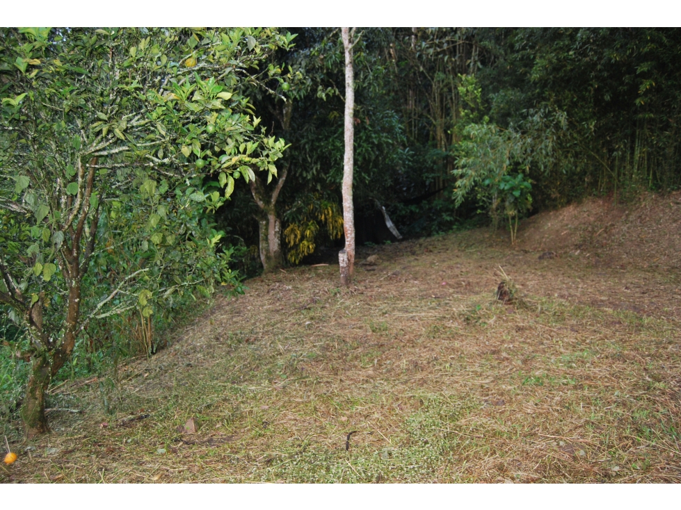 Lote en venta Vereda Montañita Copacabana Antioquia