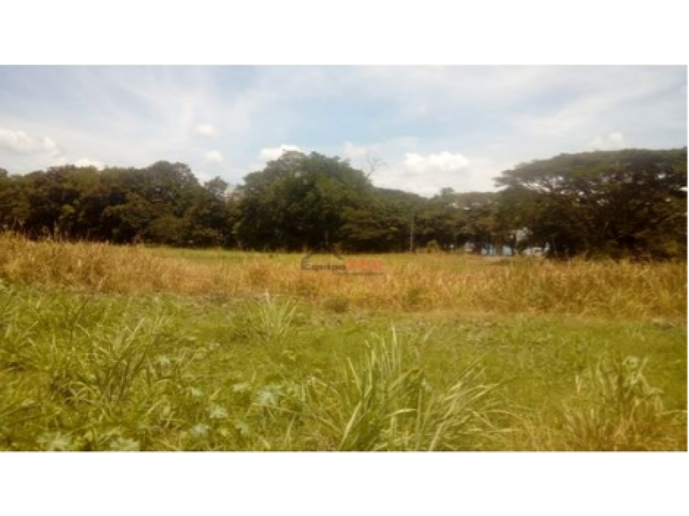 Venta Finca en Toro, Valle del Cauca, Ganadera