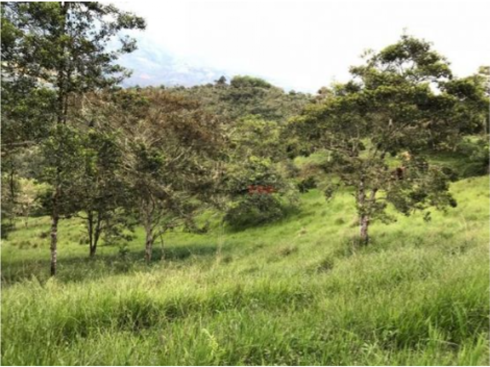 Venta Finca en Candelaria, Valle del Cauca, Cañera