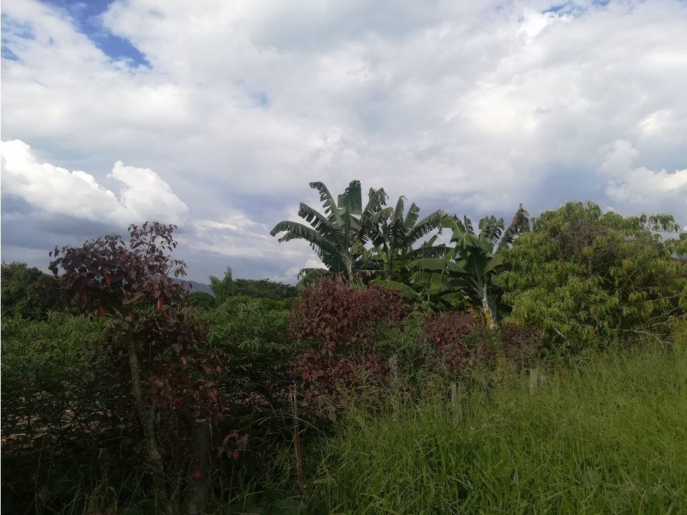 VENDO LOTE EN EL TIGRE CERRITOS PEREIRA