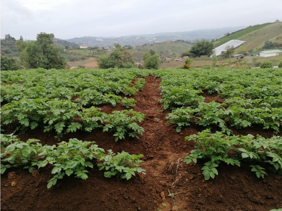 Venta de finca en Marinilla La Inmaculada