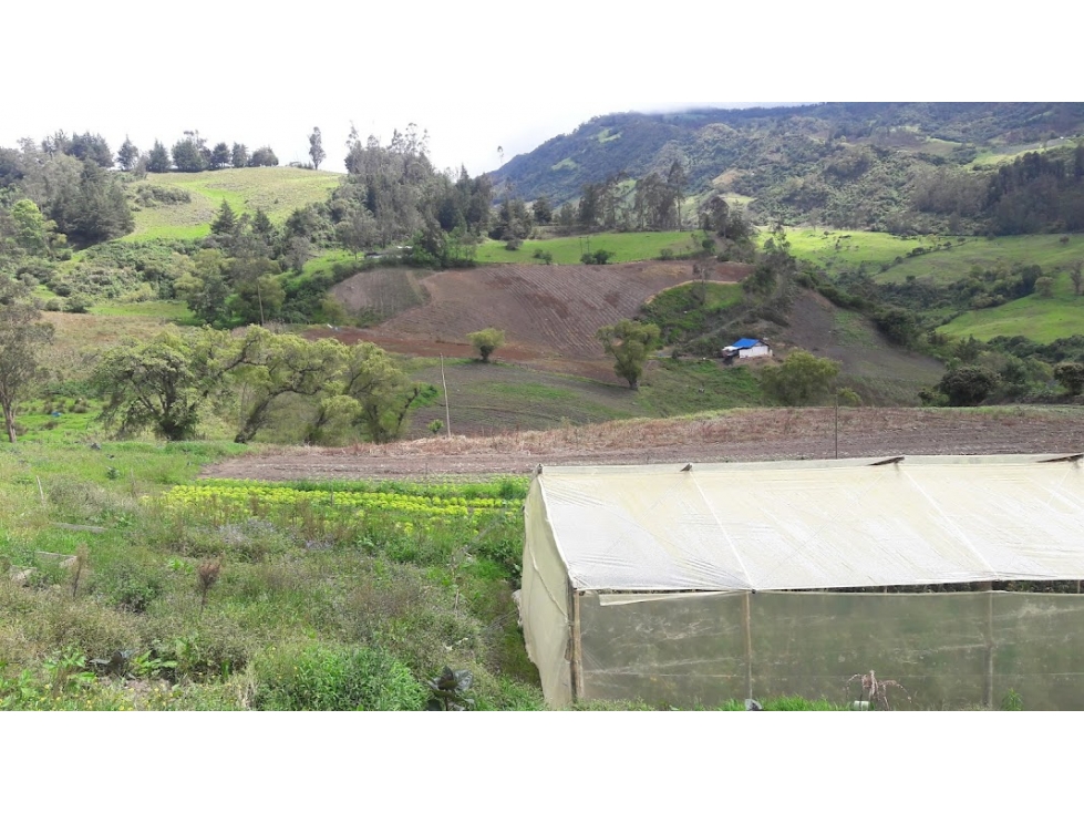 VENDO FINCA UNE CUNDINAMARCA AGUA DE 2 LAGOS NATURALES