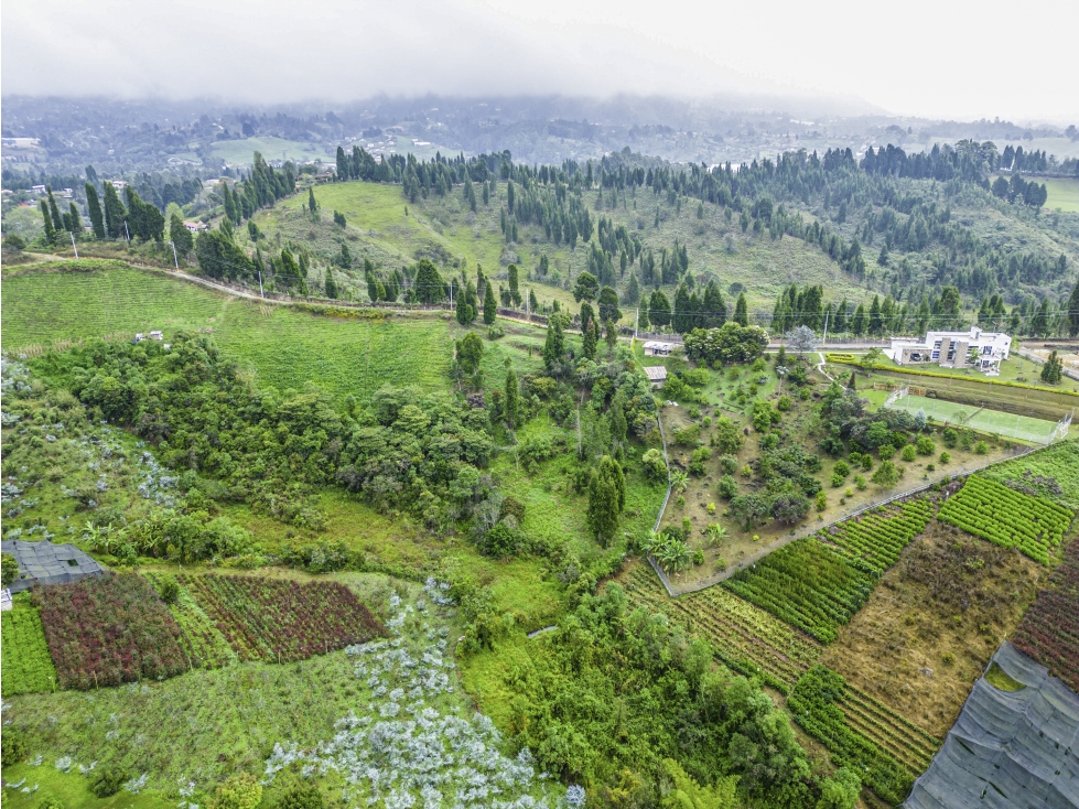 Lote independiente en Guarne, Oriente Antioqueño