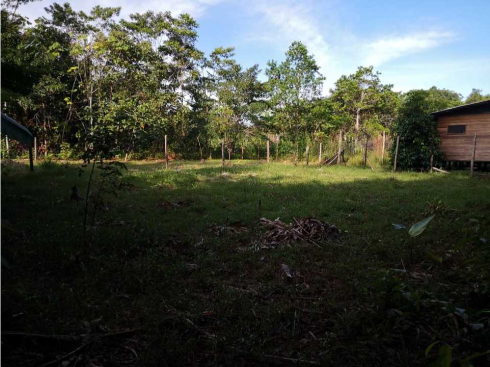 En el Amazonas Lote Urbano en venta para construir una cabaña