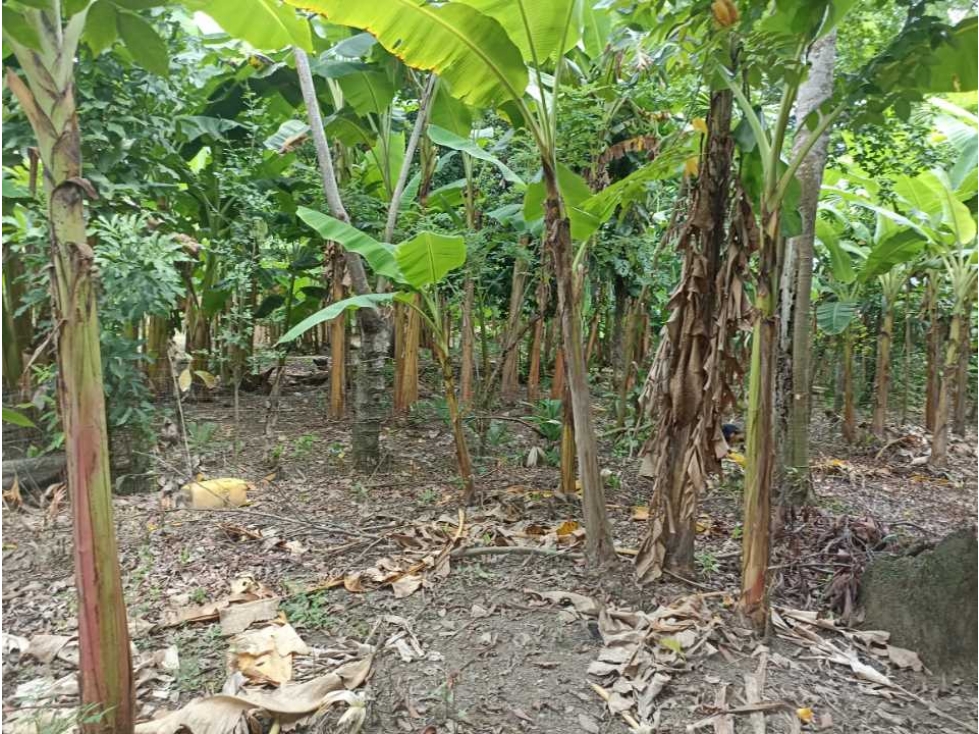 En venta casa campestre en el Retiro de Los Indios