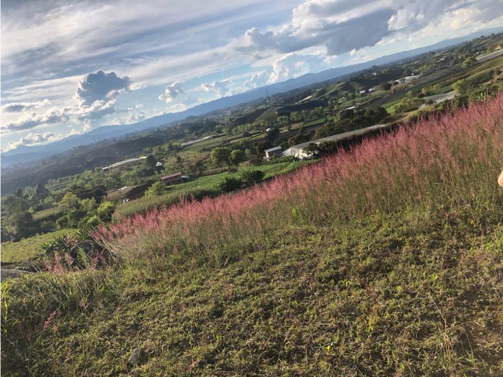 ENCANTADOR LOTE EN VENTA EL CARMEN DE VIBORAL