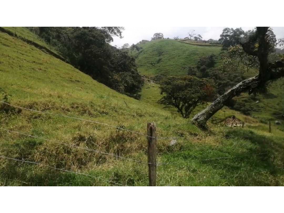 Lote en venta de 1000m2 con Facilidad de pago, en Vereda matasano