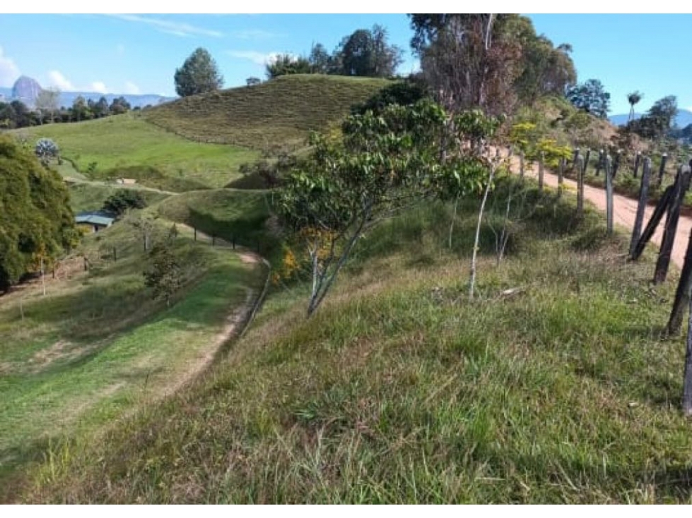 Hermoso Lote en Vereda en Alta Valoración de El Peñol