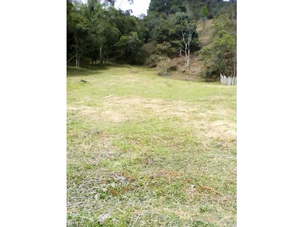 HERMOSO LOTE GUARNE SECTOR AEROPUERTO