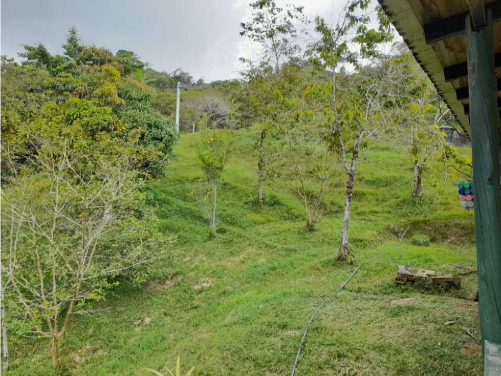 La Finca del Buen Vivir: Un Refugio en la Naturaleza