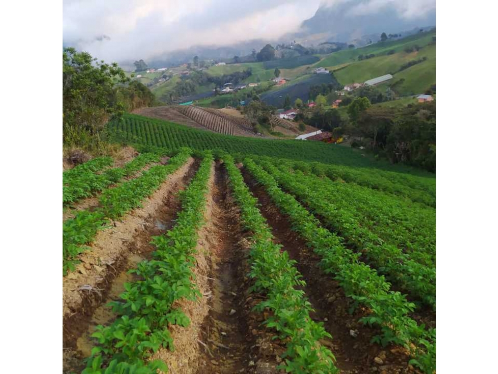 LINDA CASA FINCA CAMPESINA EN VENTA EN LA UNIÓN ANTIOQUIA