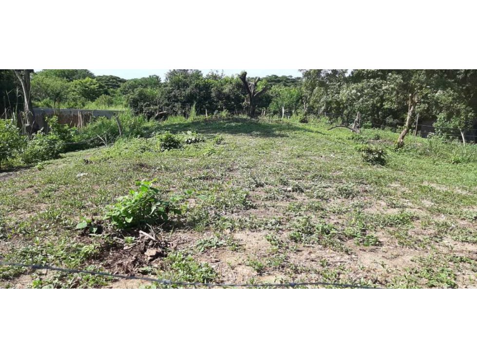 Lote de 2000m2 a 200mtrs del mar palomino 011