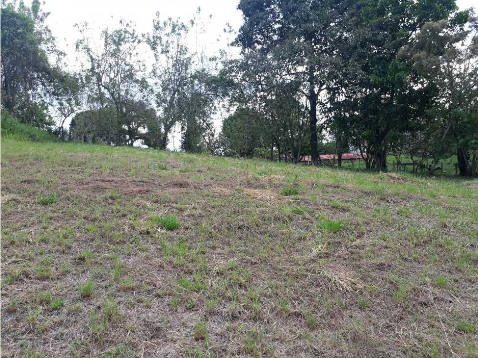 Lote de terreno frente al aeropuerto  el Edén