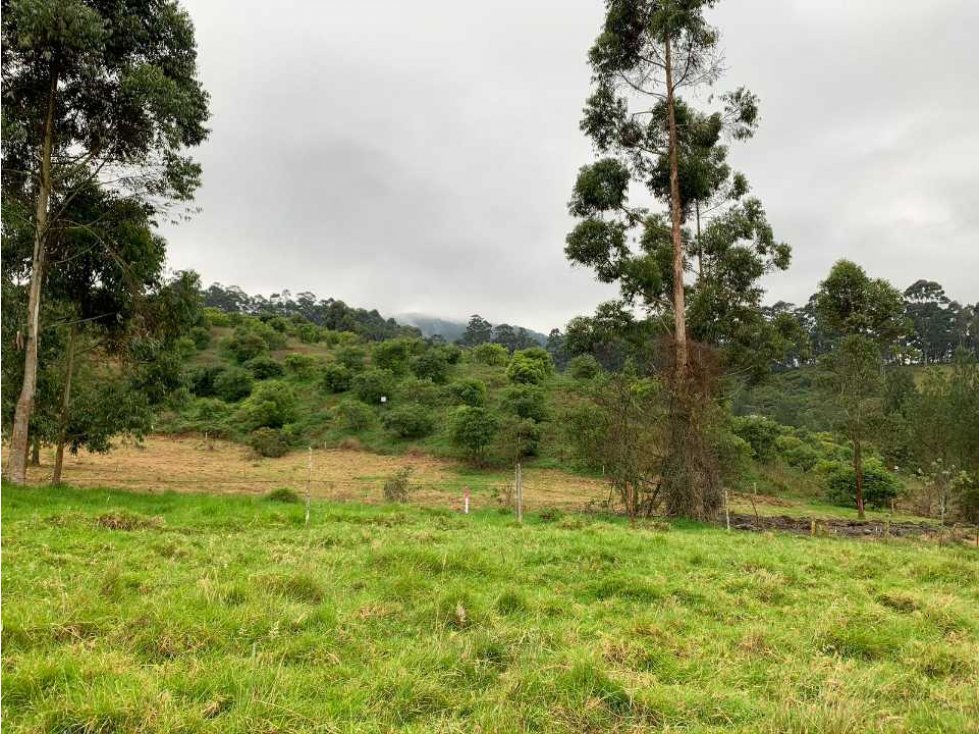 *LOTE PARCELACION  EN PROYECTO EN LA CEJA SECTOR EL YARUMO*