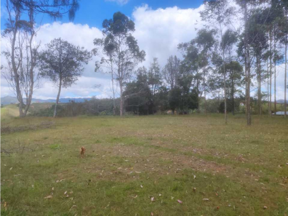 Lote en San Vicente Vereda Porquera