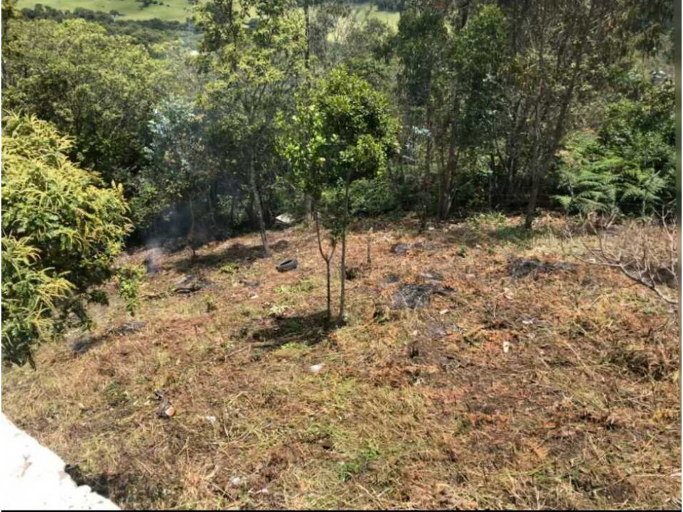 Lote en venta en bosques pinasaco Pasto Nariño