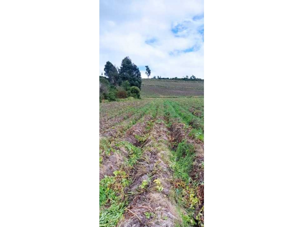 Lote en venta perimetral en catambuco en Pasto Nariño