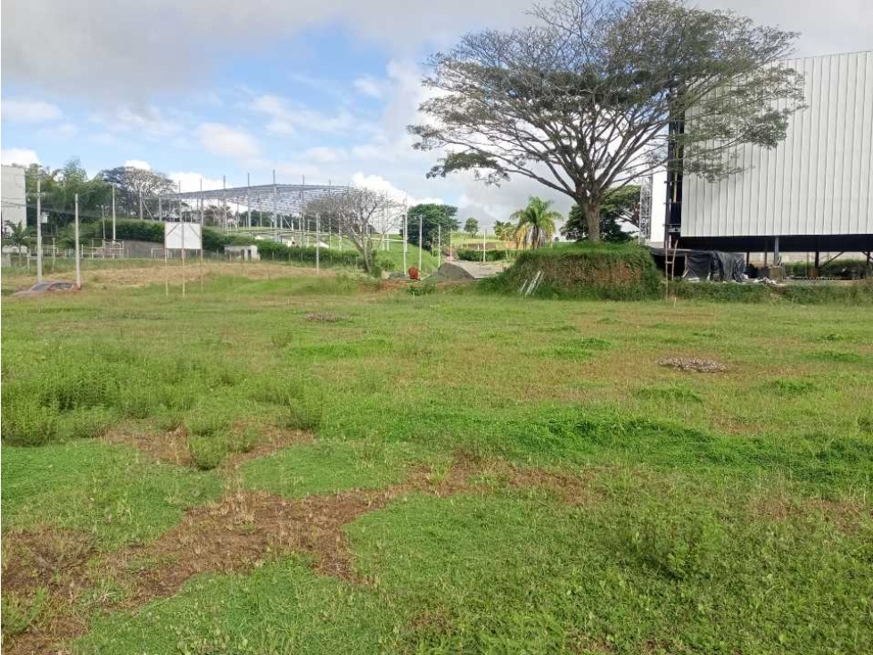 Lote en venta Pereira sector cerritos zona industrial Cod: 6021654