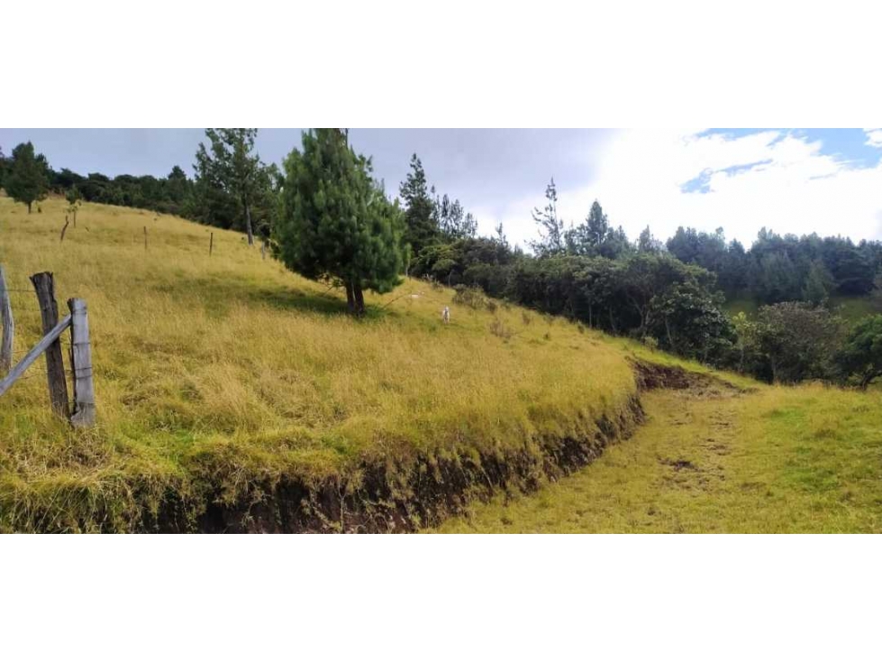 Lote en venta sector chachatoy en Pasto Nariño