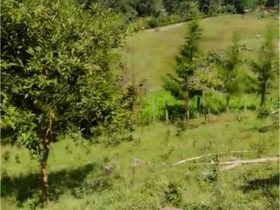 LOTE IDEAL PARA CASA DE CAMPO EN JARDÍN ANTIOQUIA  EXCELENTE SECTOR