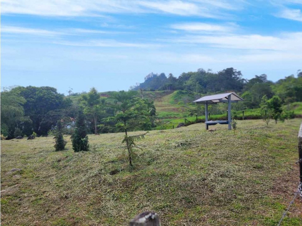 LOTE IDEAL PARA CASA DE CAMPO VENECIA ANTIOQUIA  SECTOR PRIVILIGIADO