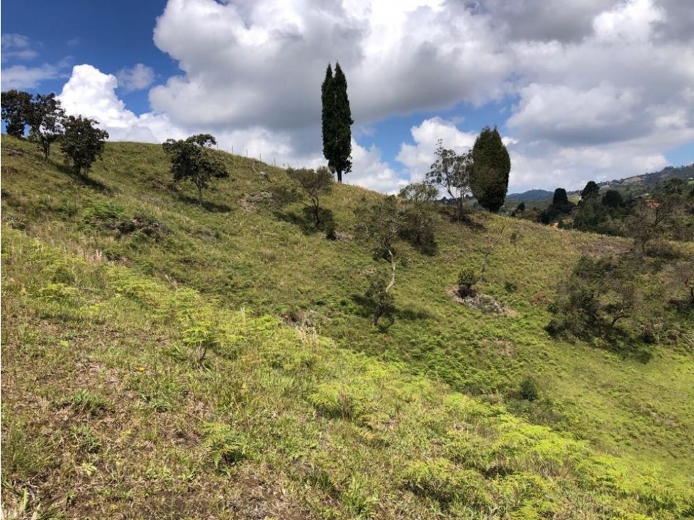 Lote para Parcelar 34.000 m2 Guarne