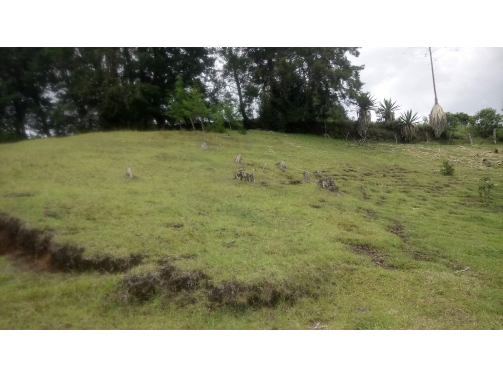 Lote para Proyecto de Parcelación, Rionegro Ant