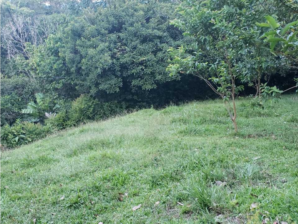 Lote para venta en Cisneros Antioquia ideal para finca de recreo