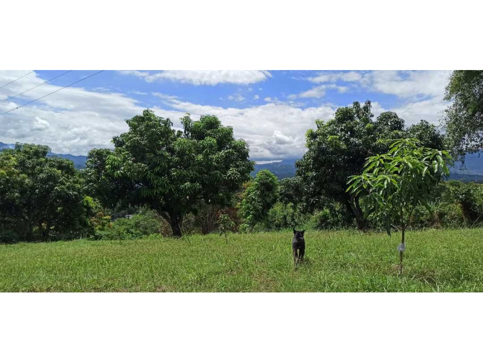 Lote Plano En La Mesa Cundi Con Hermosa Vista Panorámica