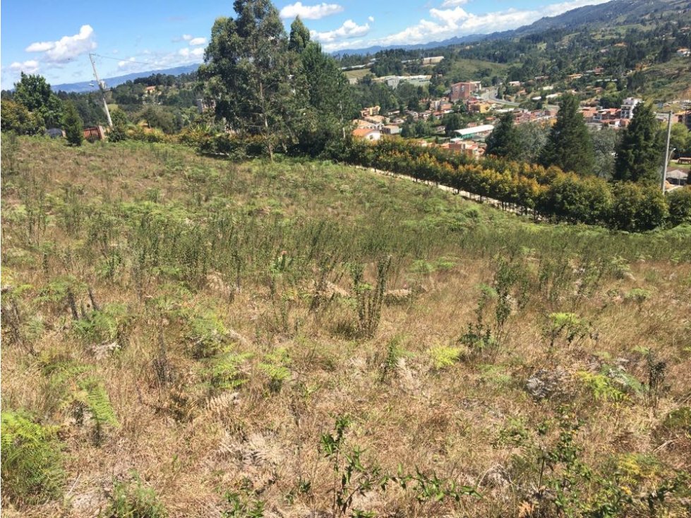 LOTE TERRENO GUARNE URBANO