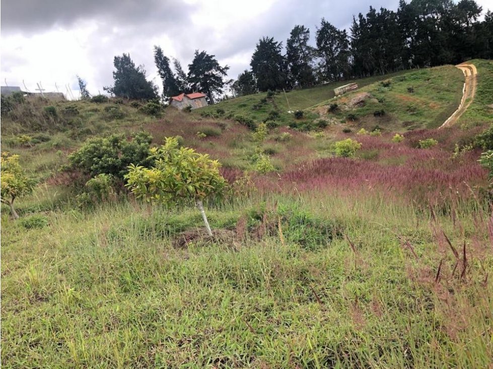 Lote Terreno Vda. La Brizuela Piedras Blancas, Guarne, 5000 M2 $ 350?