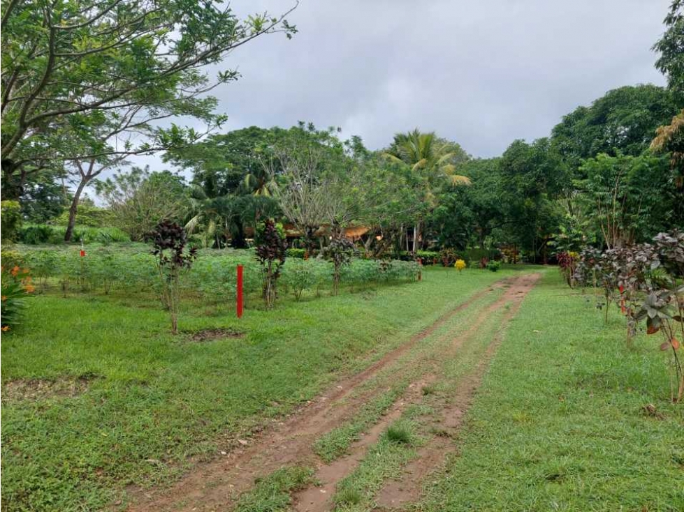 Lotes en venta sabana larga Atlántico