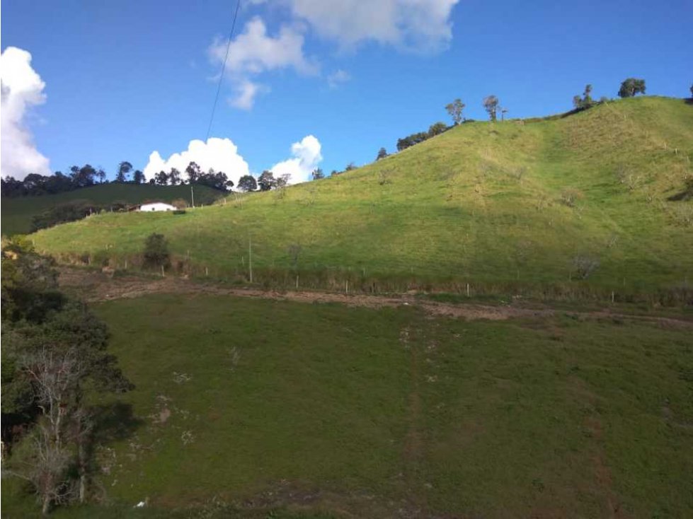 MARAVILLOSO LOTE UBICADO EN LA UNION ANT