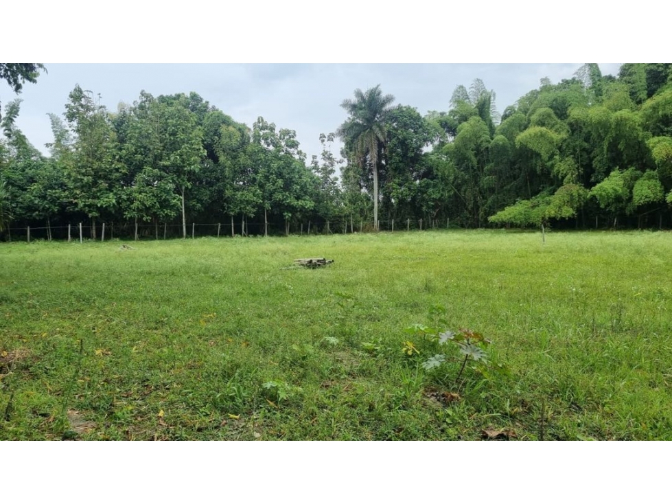 Santa Elena - Lote en venta (Palmira Valle del Cauca)